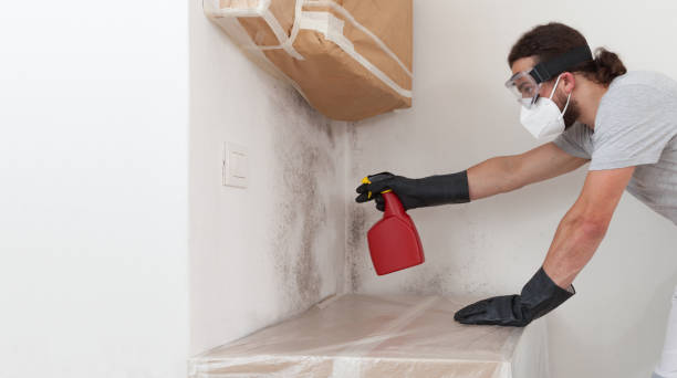 Professional Crawl Space Mold Removal technician working in Wauconda, IL