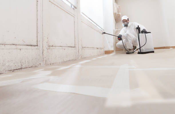 24/7 Emergency Crawl Space Mold Removal experts in Wauconda, IL